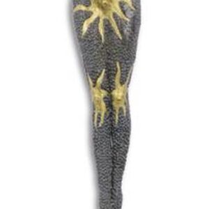 Bronzen beeld - "Starfish" - Zwemster - sculptuur - 48,8 cm hoog