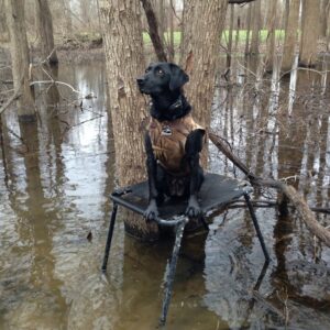 Dokken's Neopreen hondenvest x-treme