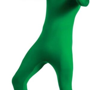 Huidpak Stretcho Kostuum Groen Uitstekend voor Feestjes