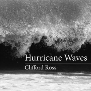 Hurricane Waves