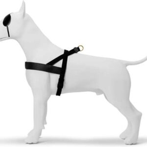 Morso - Norwegian Hondentuig - Gerecycled - Gold Caviar Goud - 41-56X38 cm