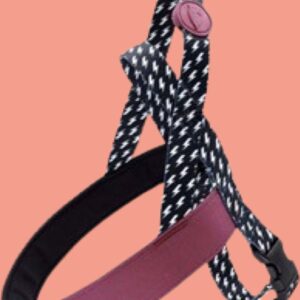 Morso - Norwegian Hondentuig - Gerecycled - Power Flow Zwart - 39-48X35 cm